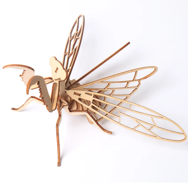 Mantis