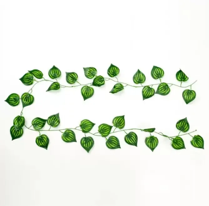 36 Leaves