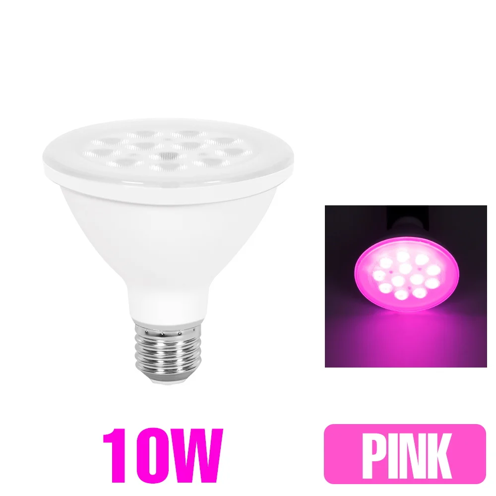 10W Pink