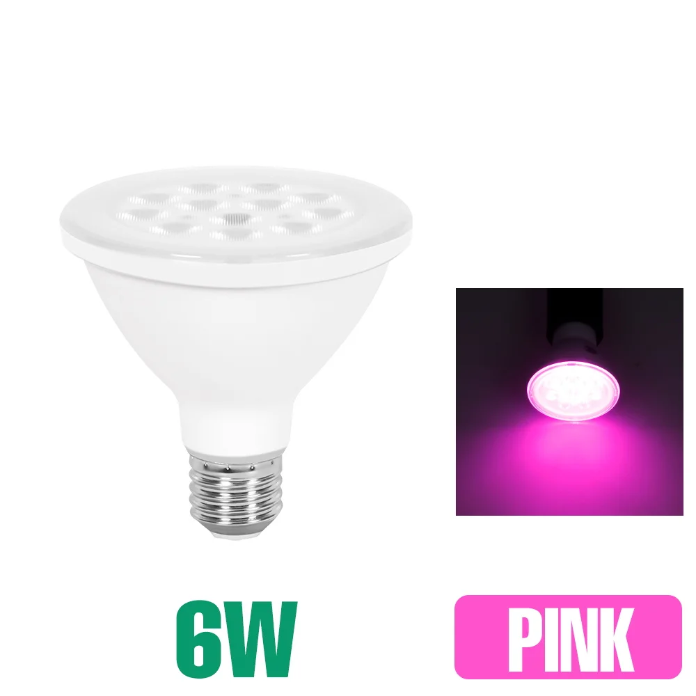 6W Pink