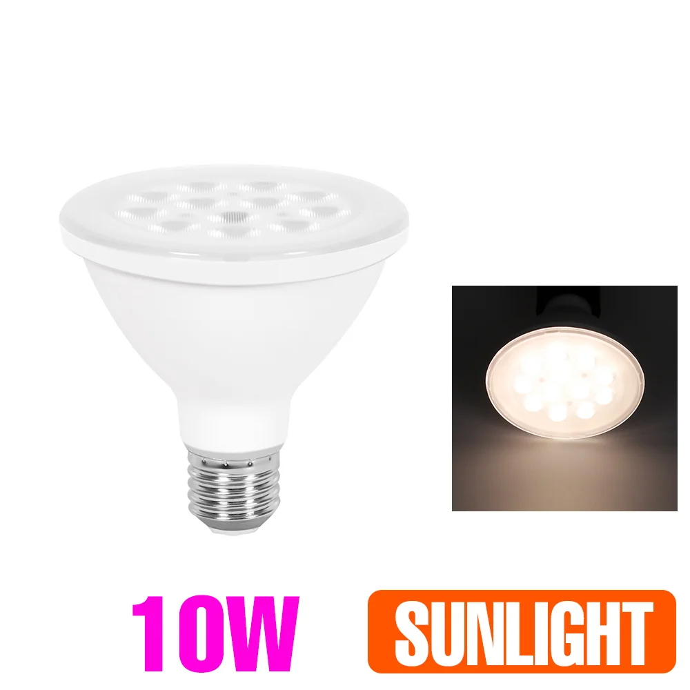 10W Sunlight