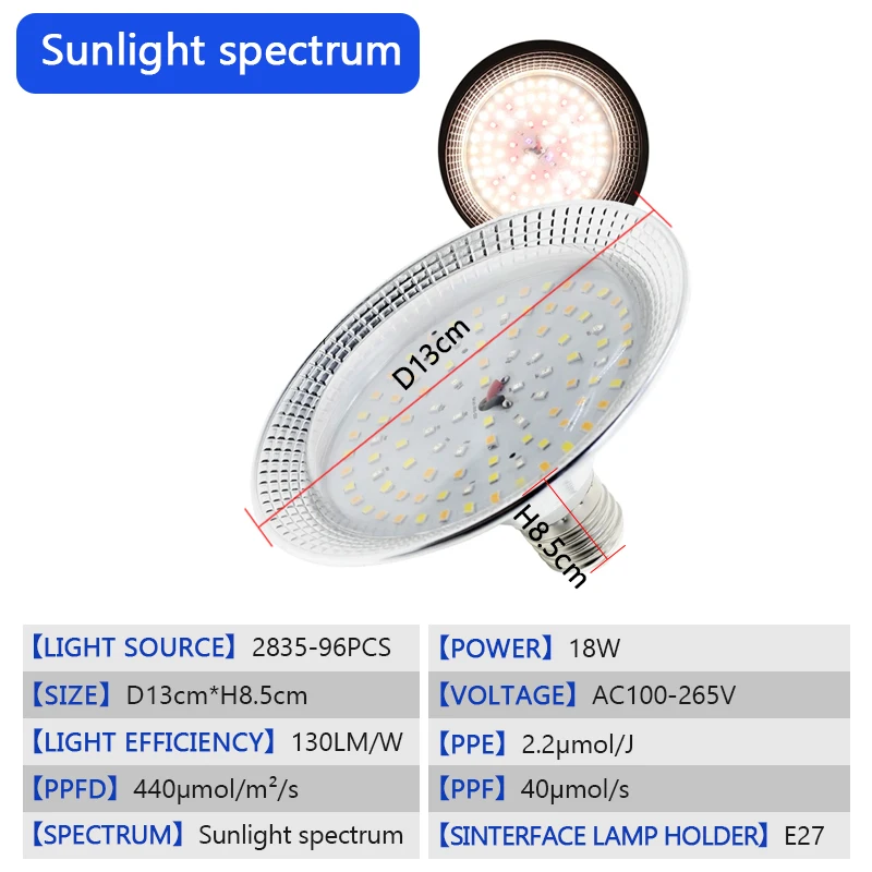 Sunlight