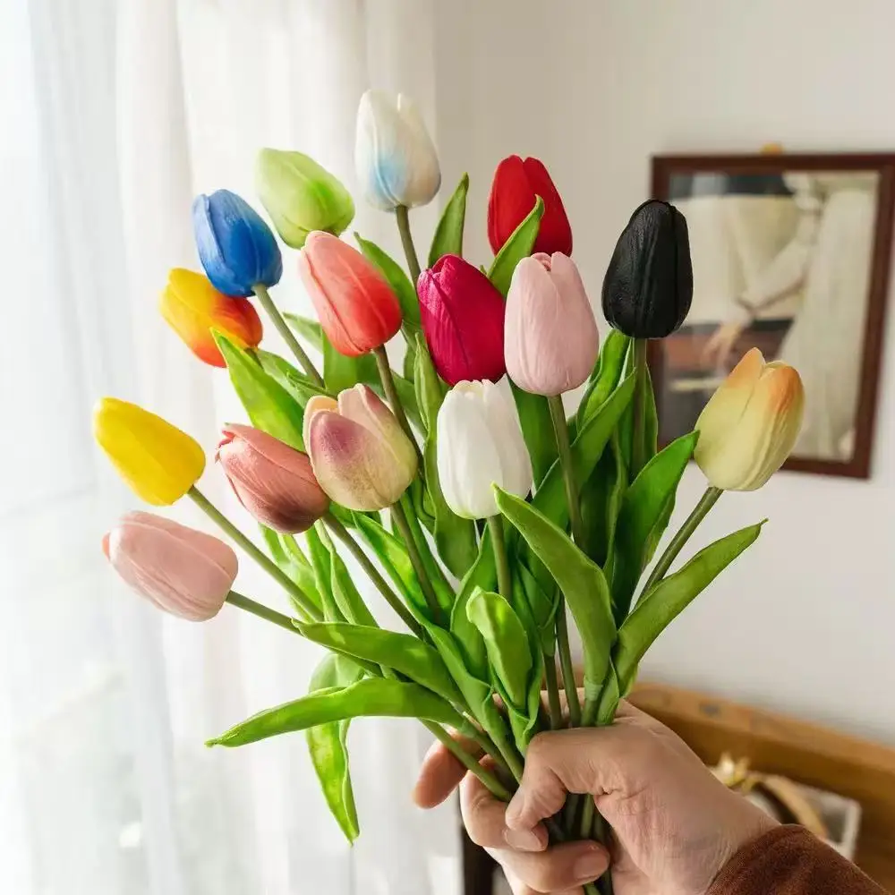 Multicolor Color
