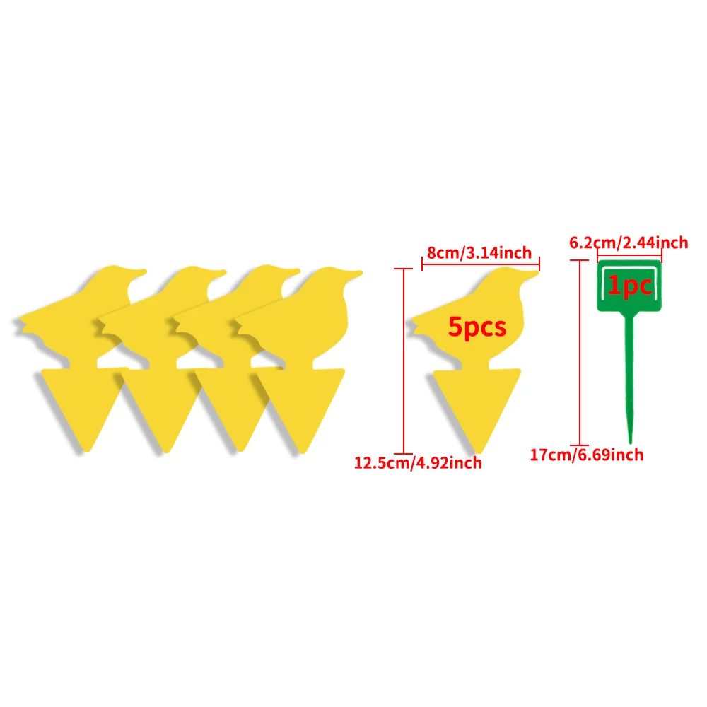 Birdxx5pc