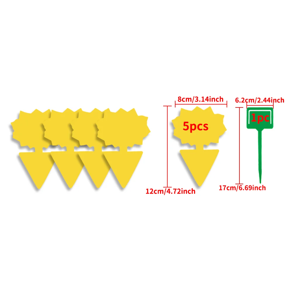 Sunflowerx5pc