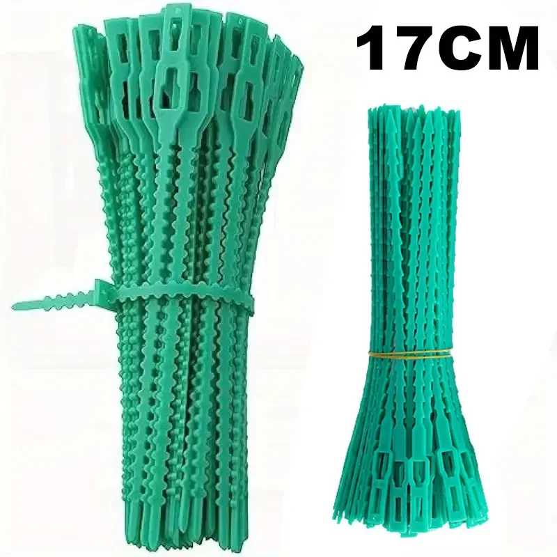 17cm