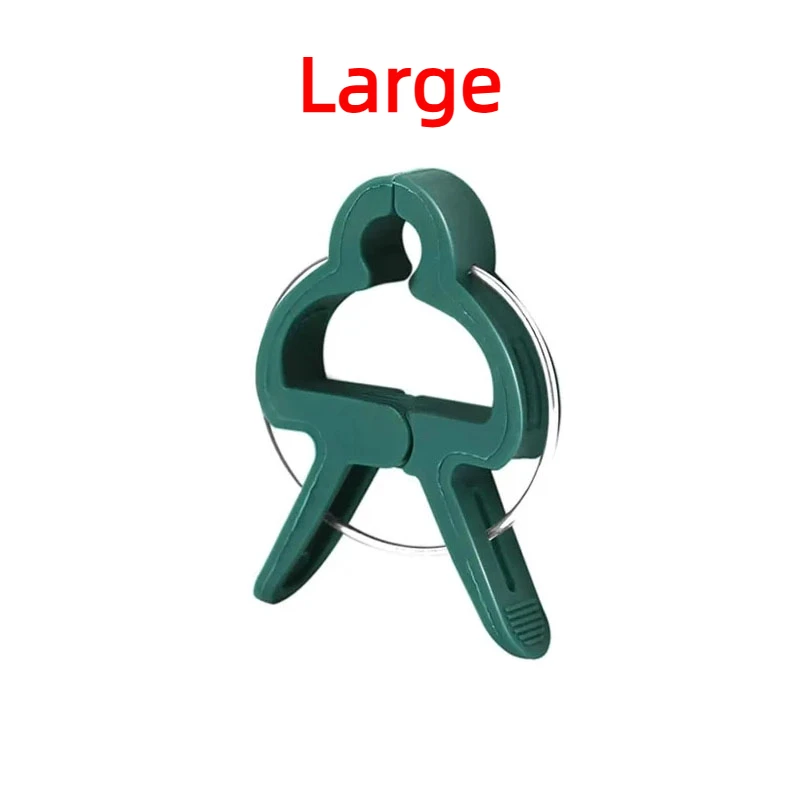 Large