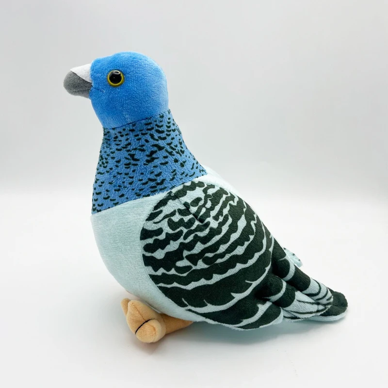 Blue Pigeon