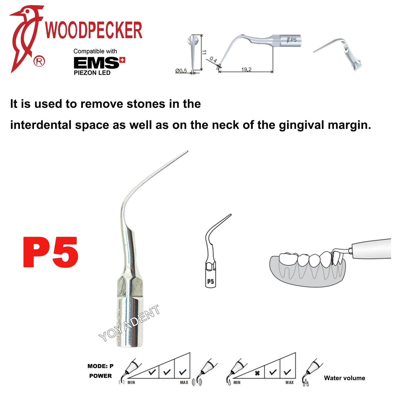 P5