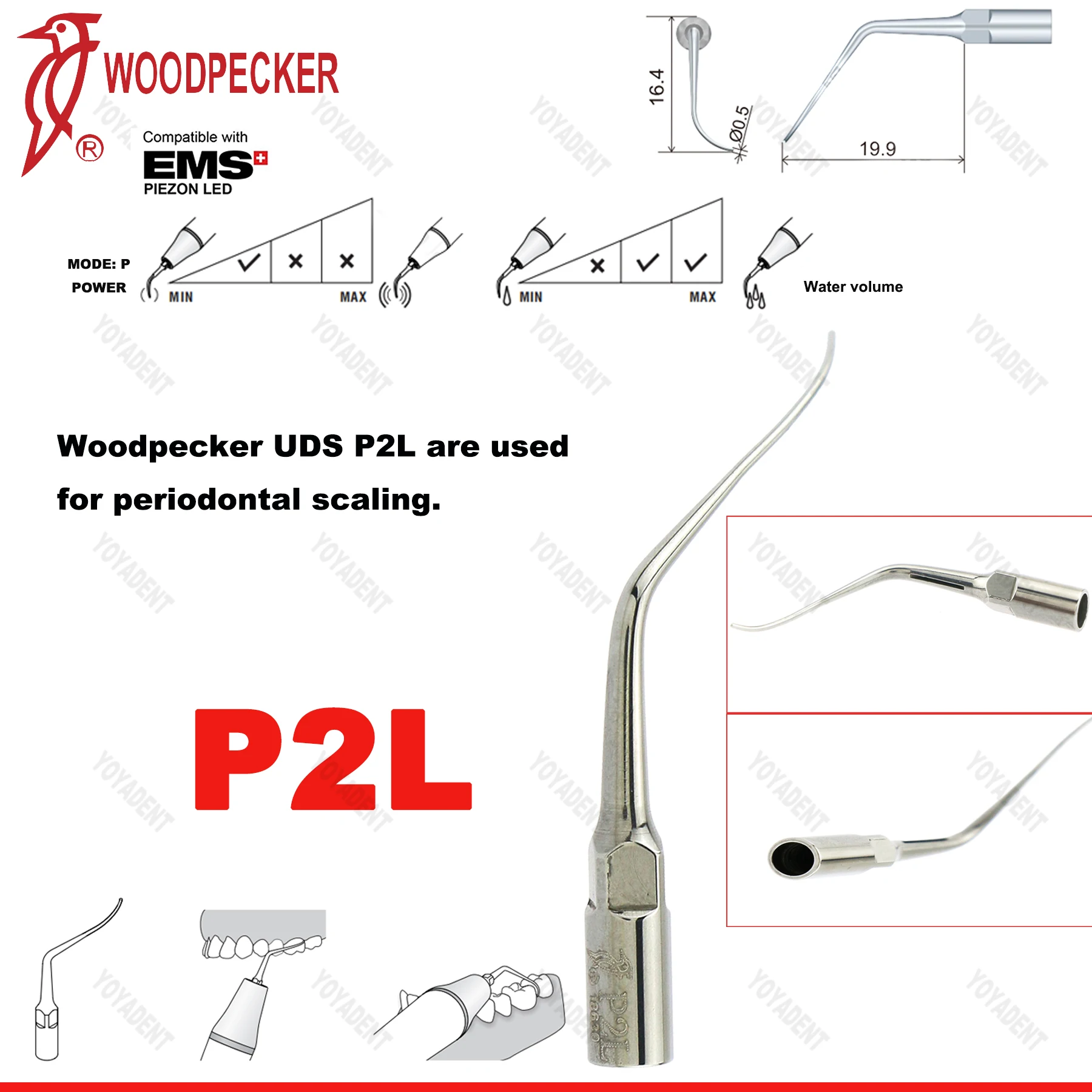 P2L