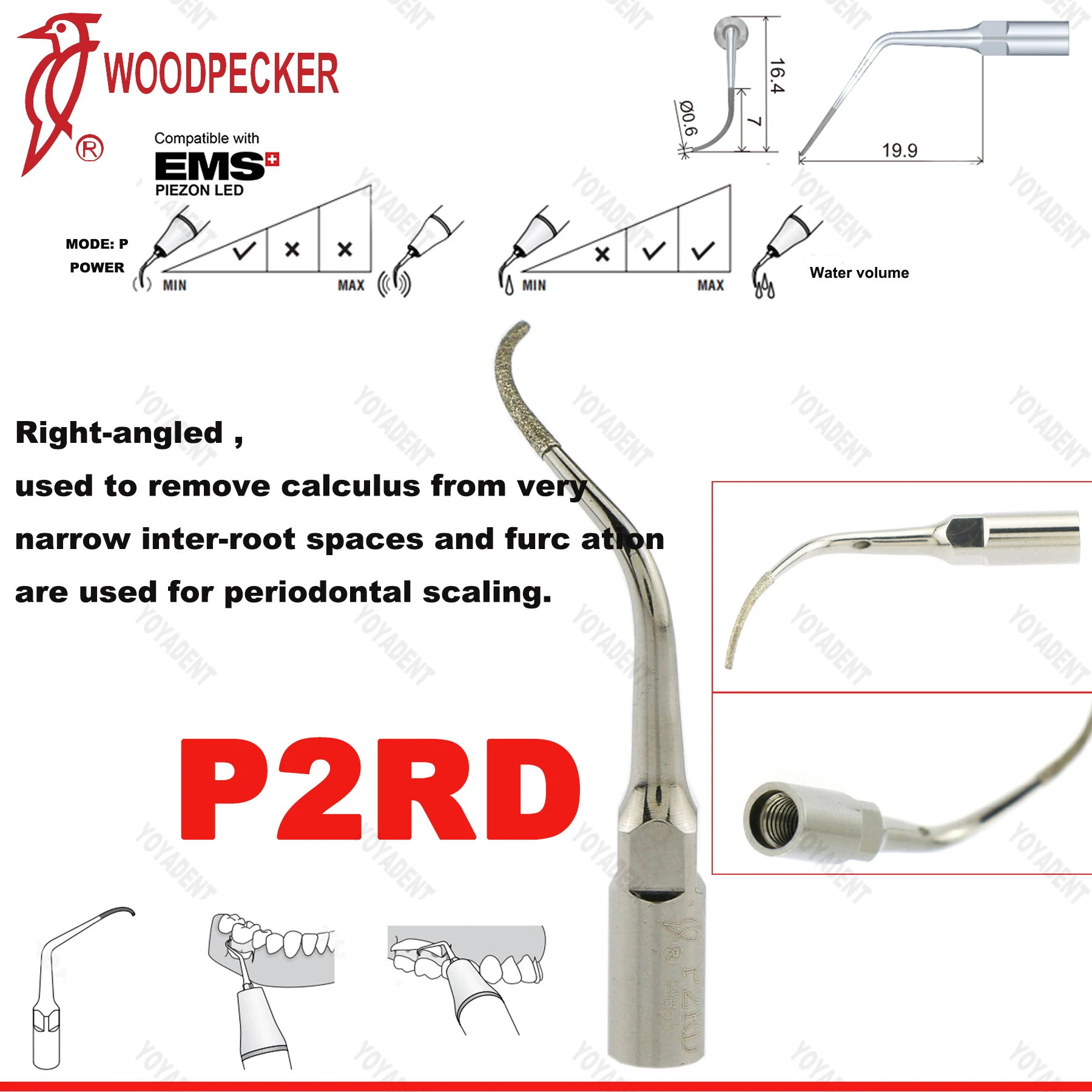 P2RD