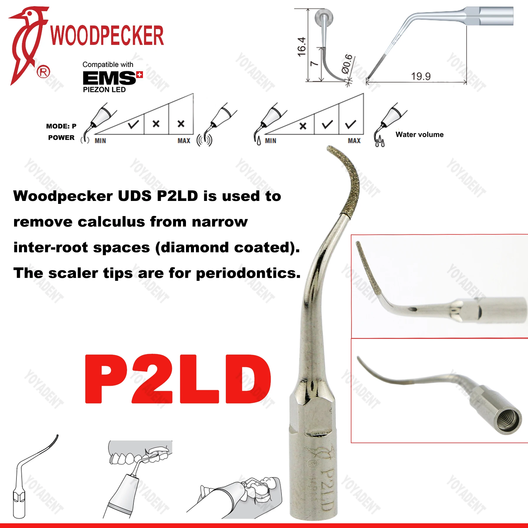 P2LD