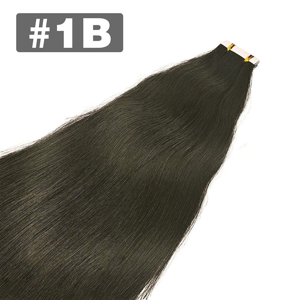 #1B