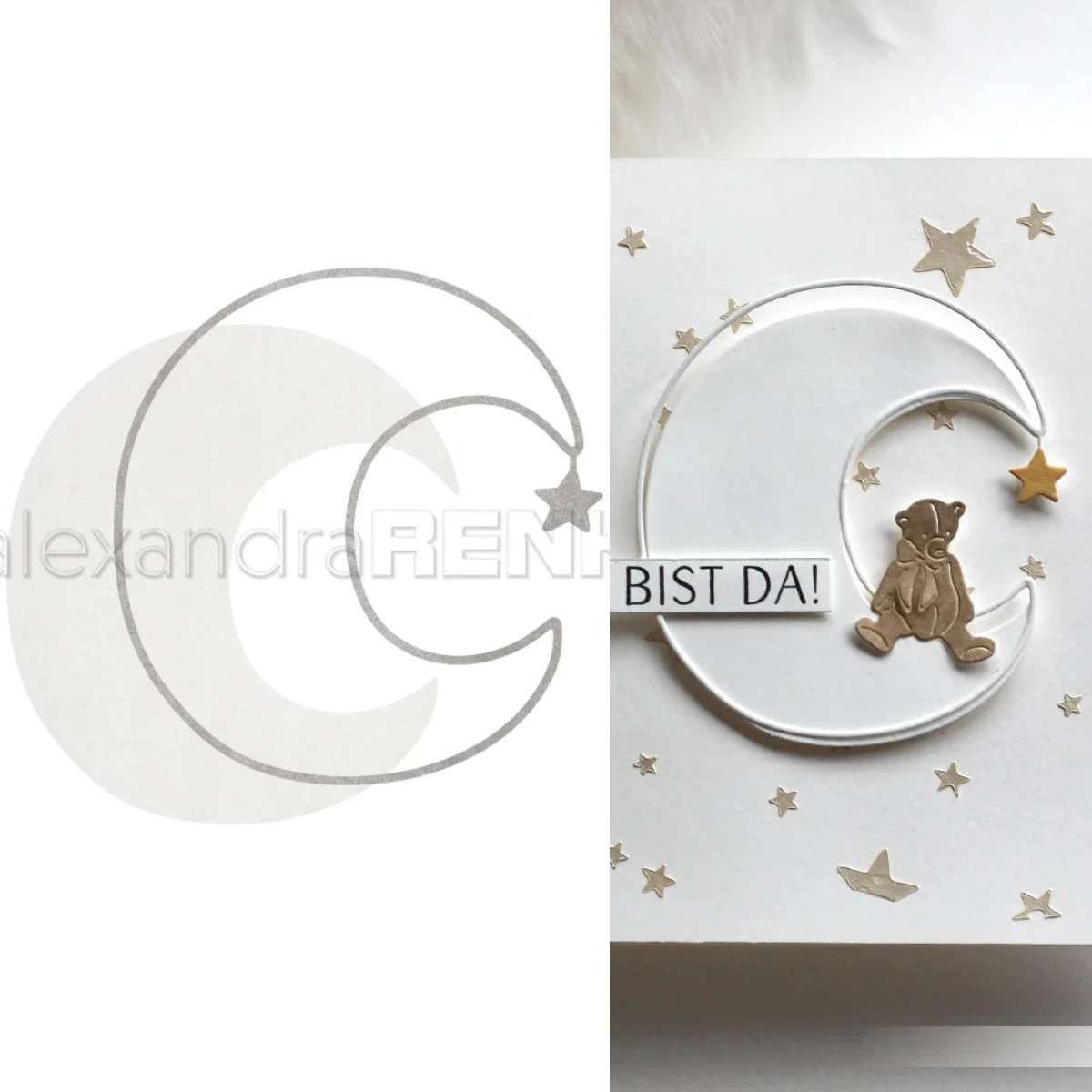 L1698-dies