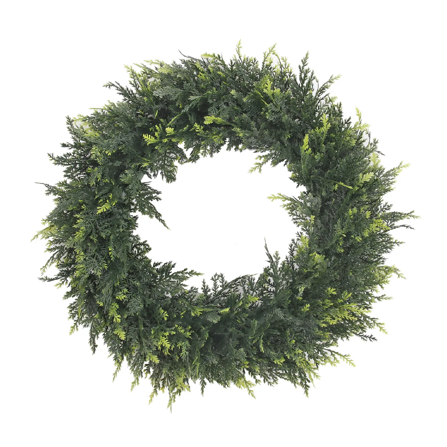 Cedar Leaf