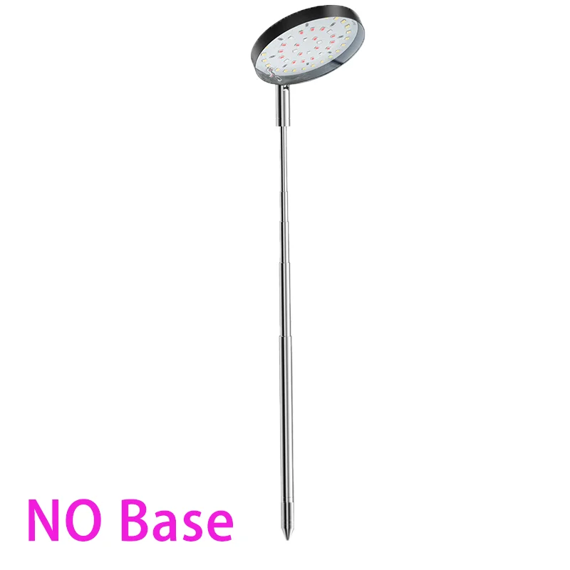 1 pack NO Base