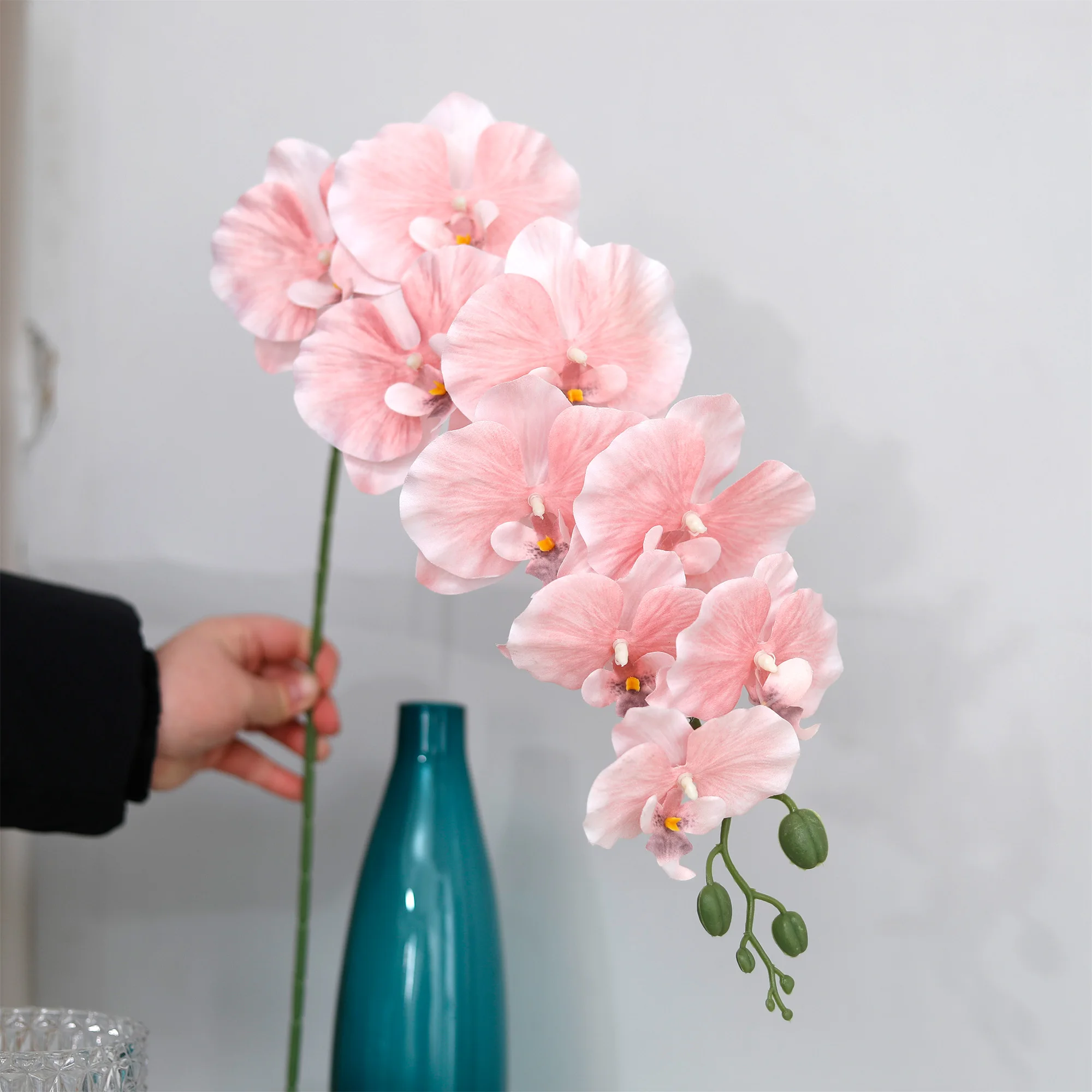 Champagne pink