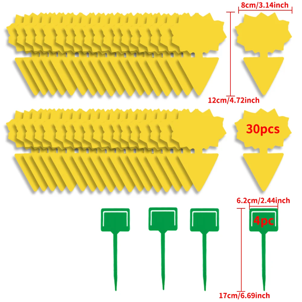 sun flowerx30pc