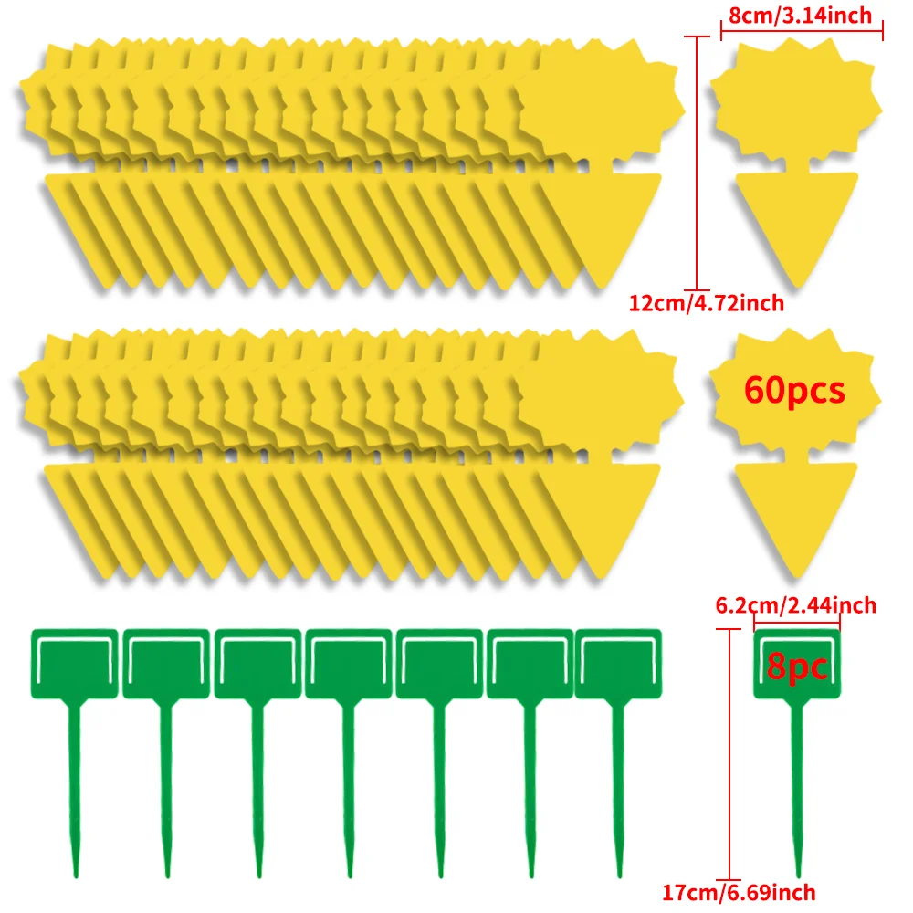 sun flowerx60pc