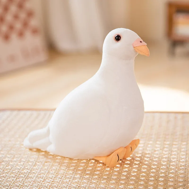 White Pigeon