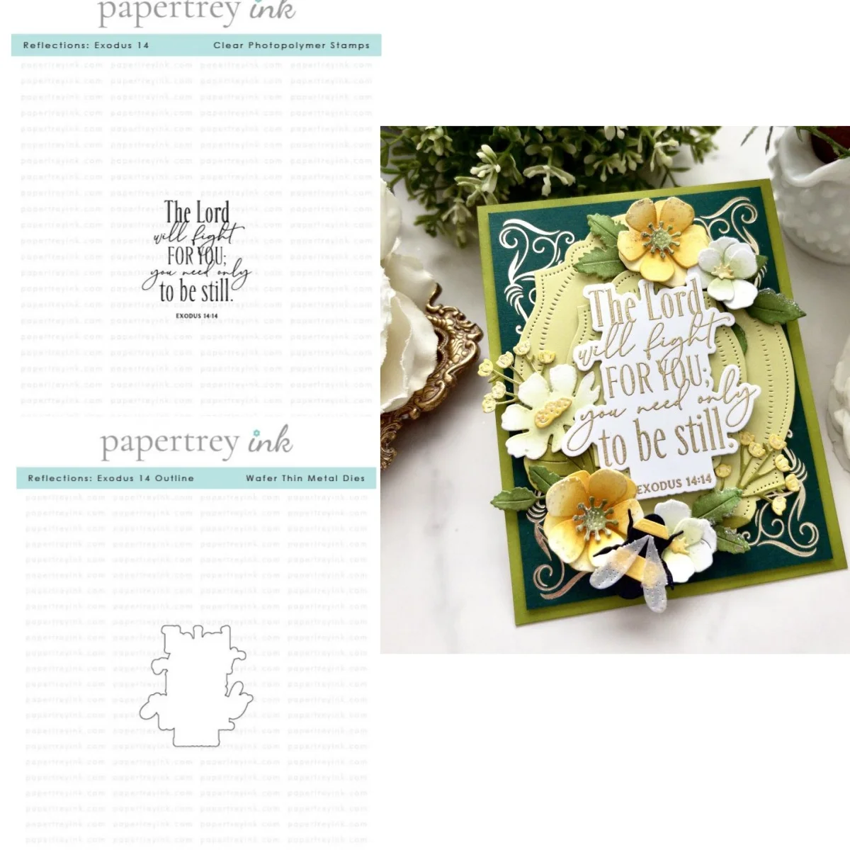 V3208-set-2pc