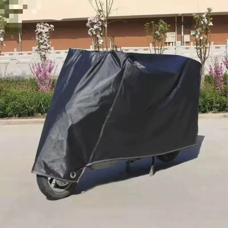 Black without ears