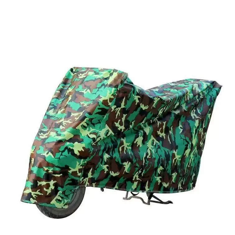 Camouflage earless