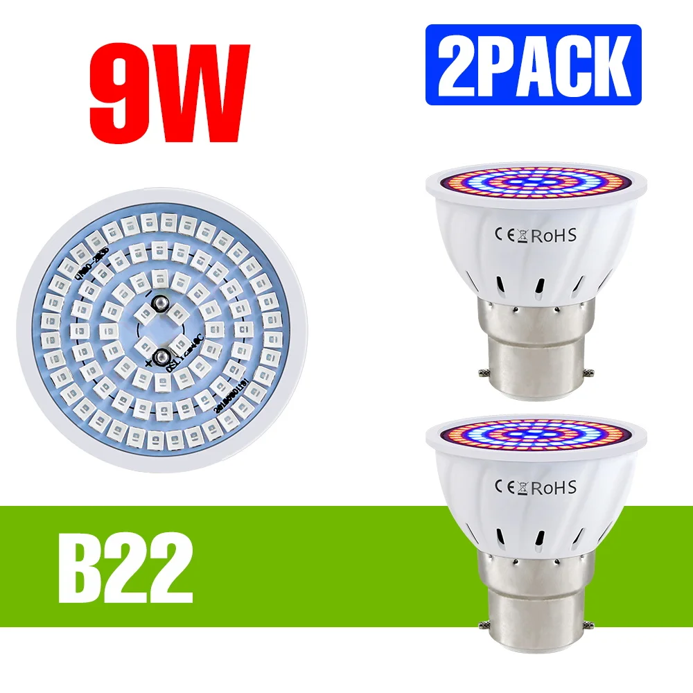 B22 9W