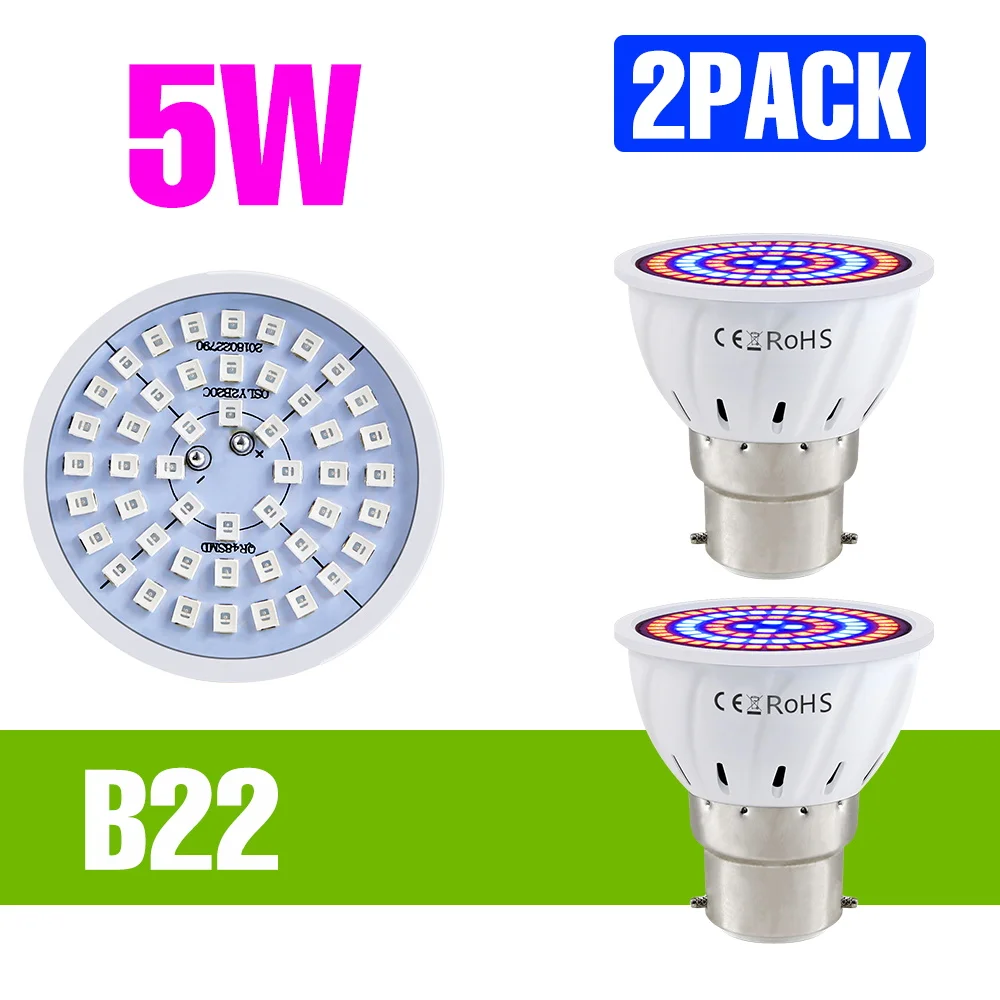 B22 5W