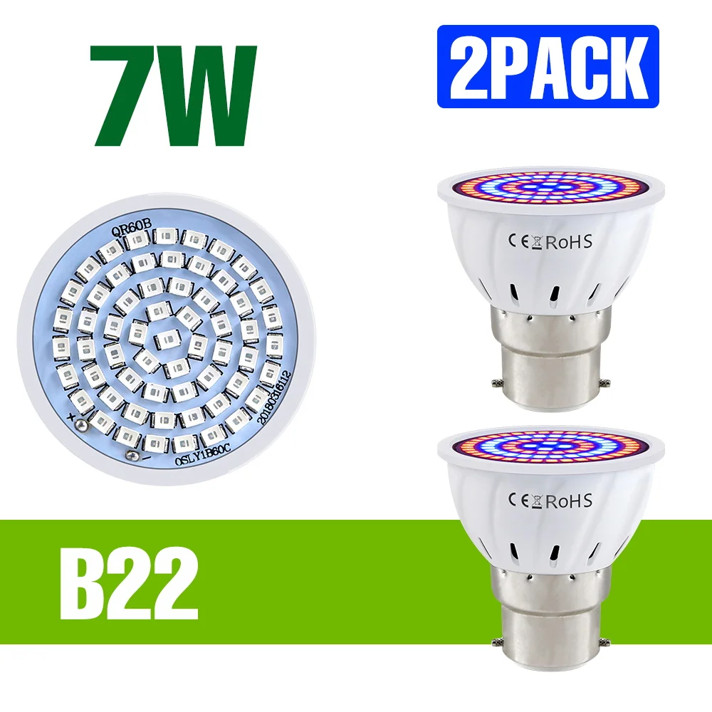 B22 7W