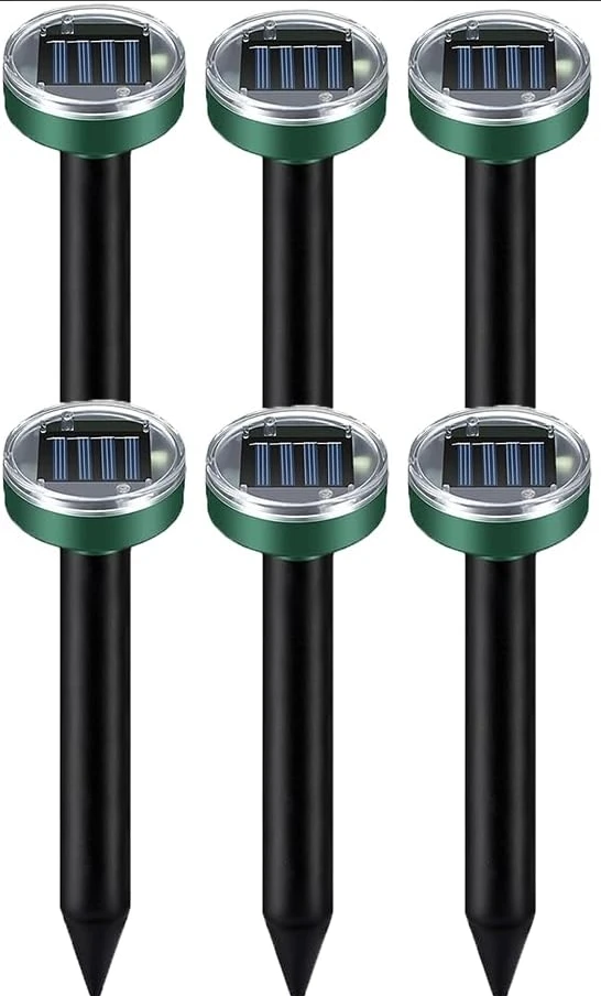 Circle 6pack