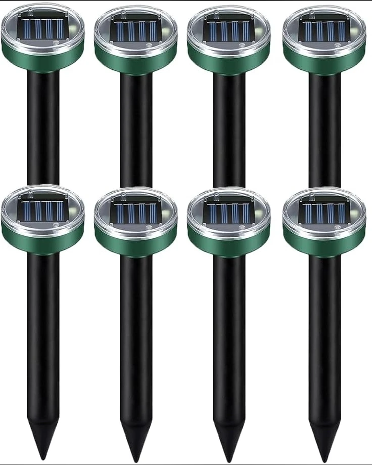 Circle 8pack