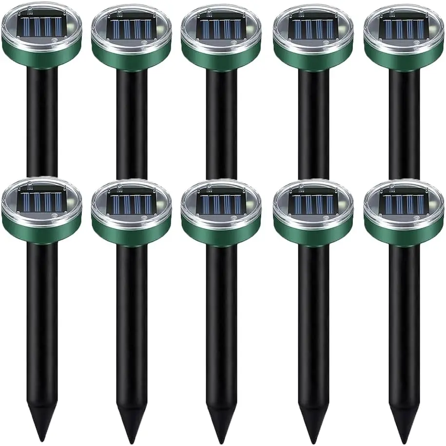 Circle 10pack