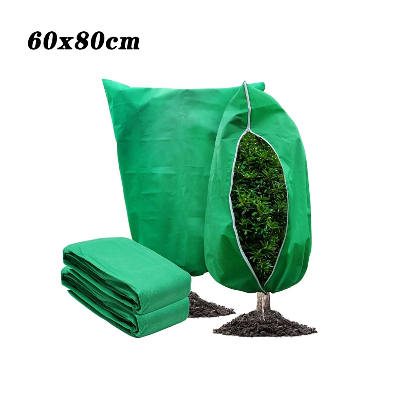 60x80cm Green