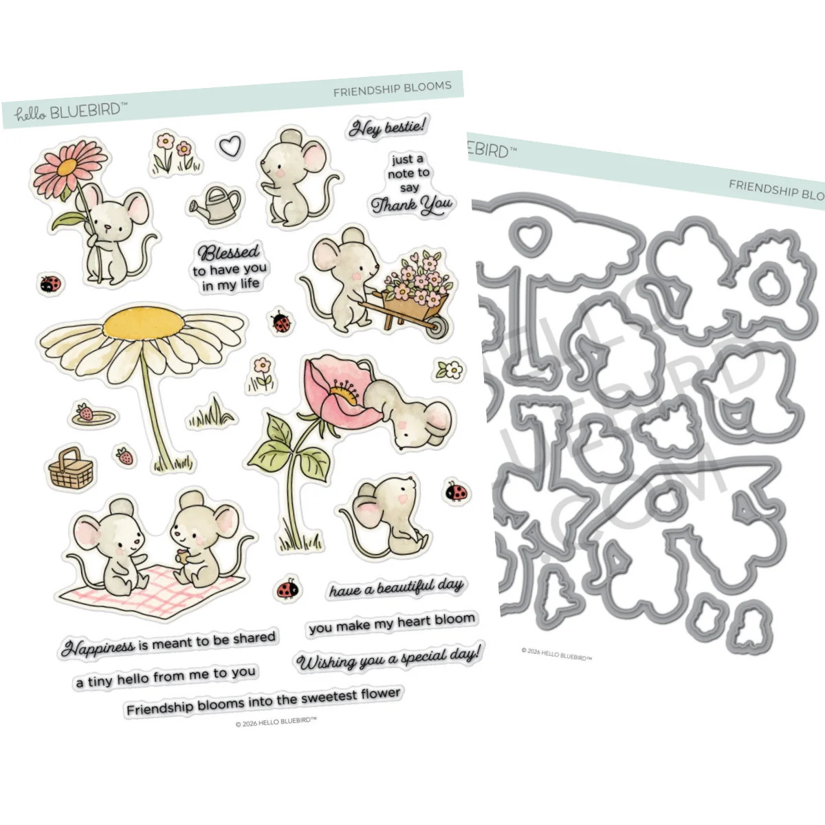 V2884-set-2pc