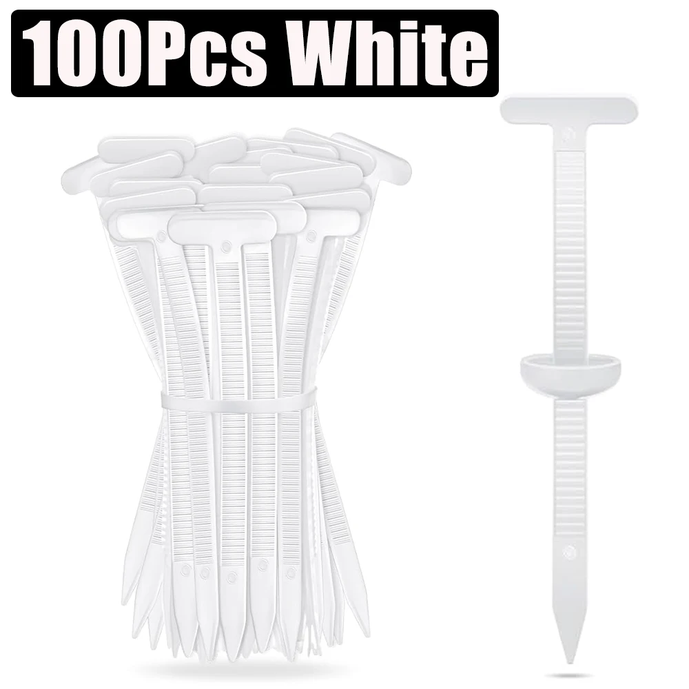 100Pcs White