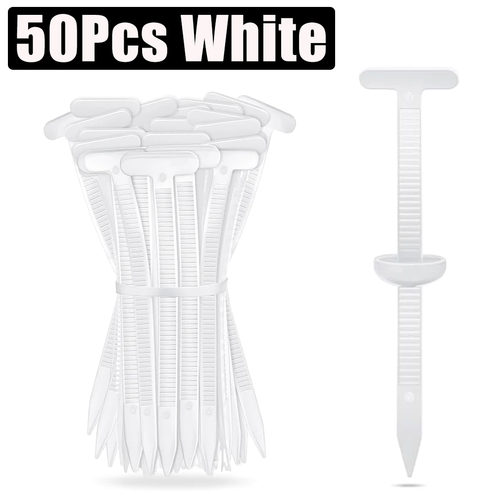 50Pcs White