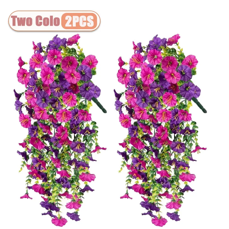 Two Colo-2PCS