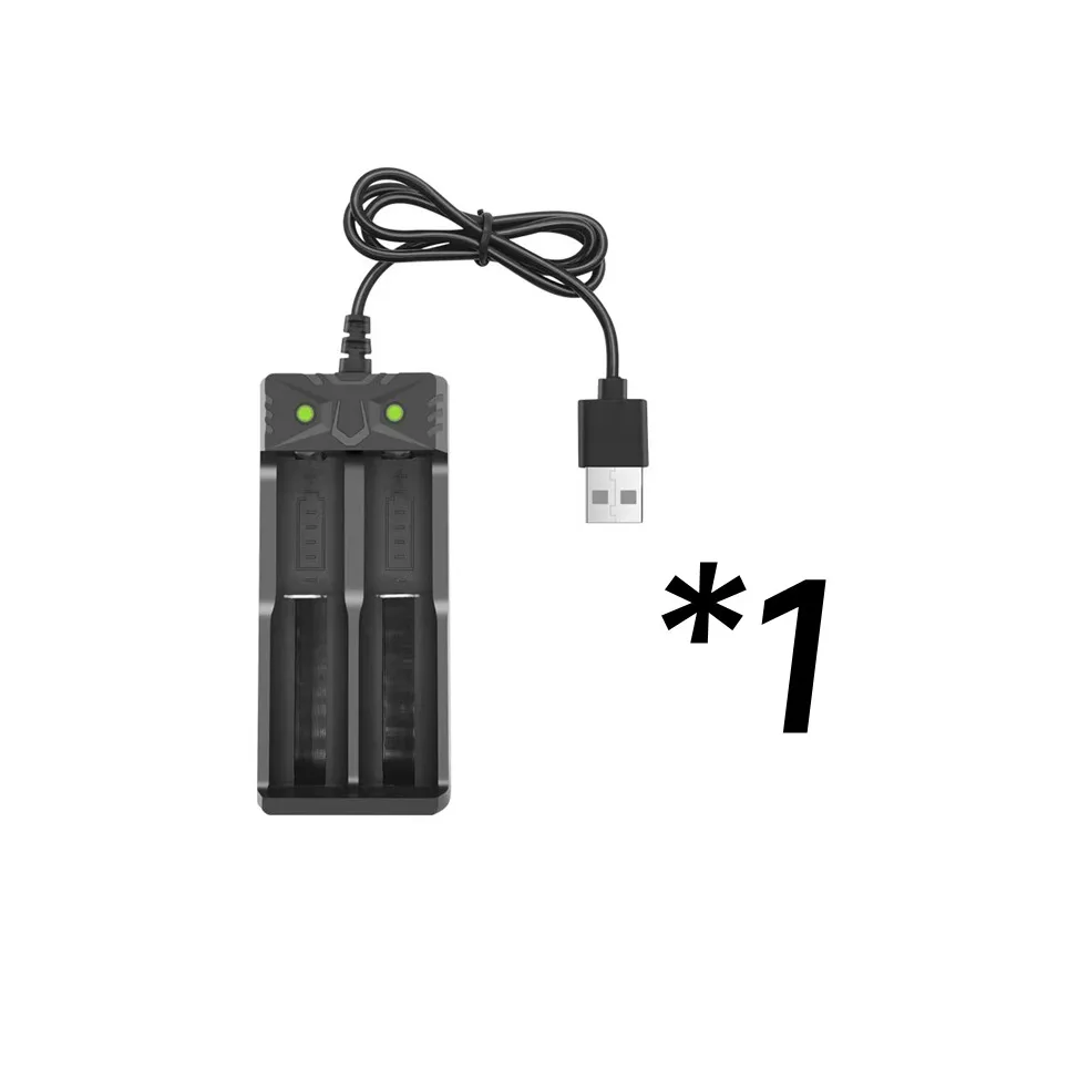 1P Charger