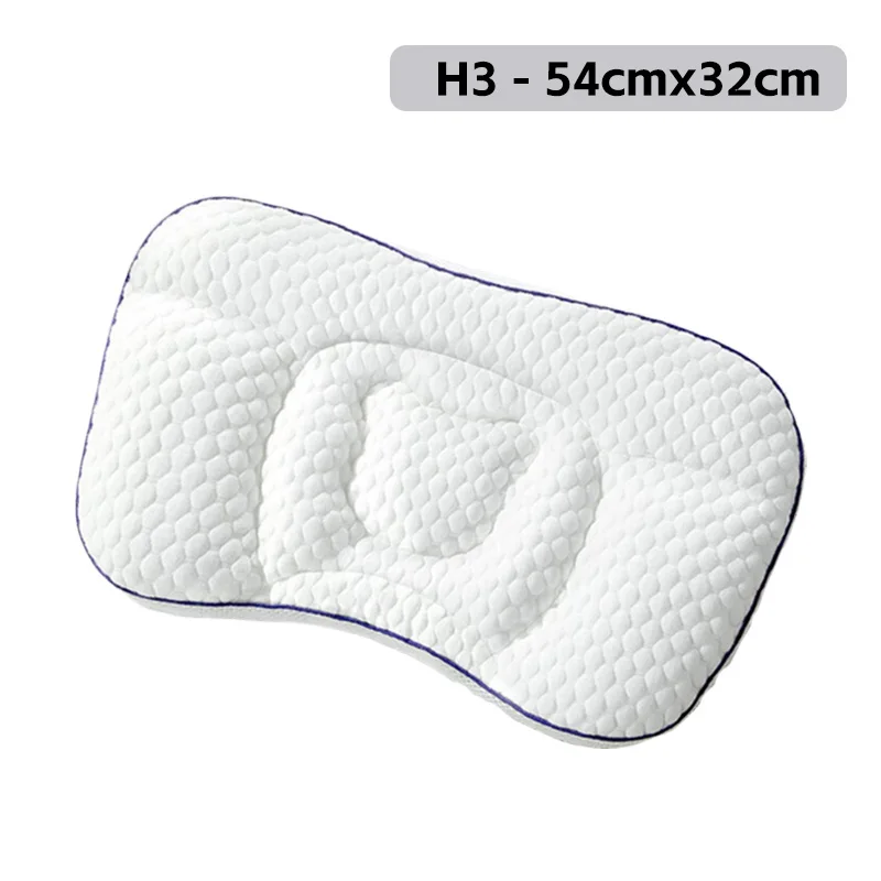 H3 54X32CM