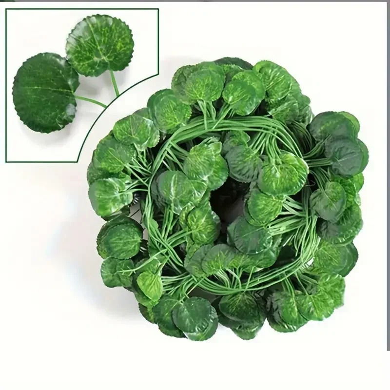 begonia