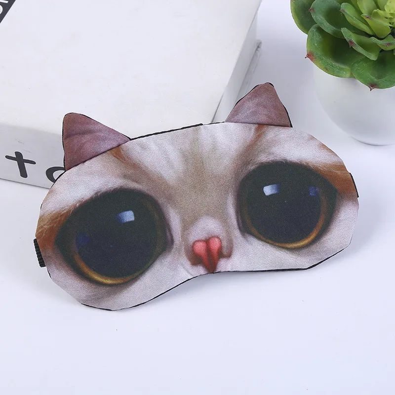 Cat B