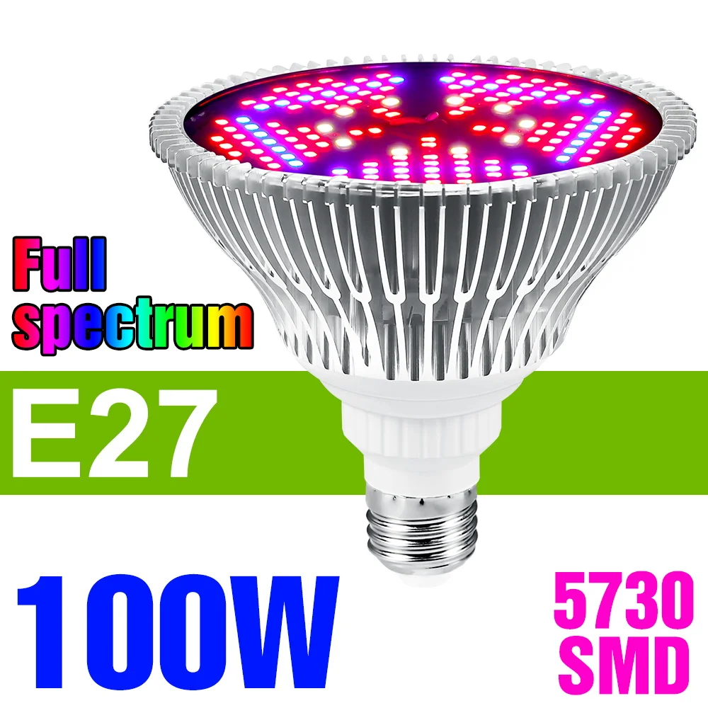E27 100W