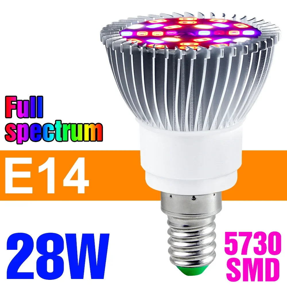 E14 28W
