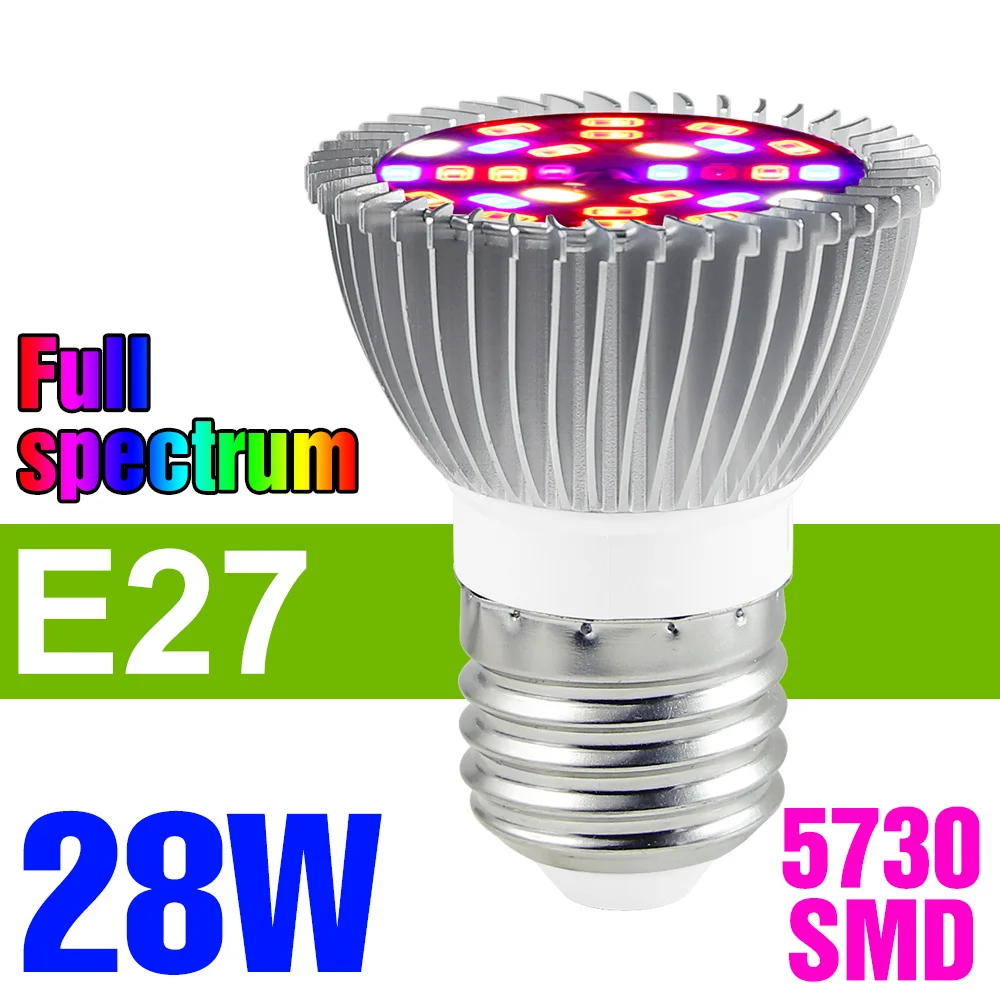 E27 28W