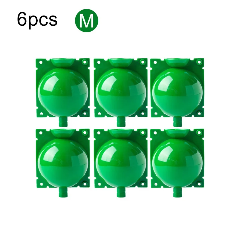 6M