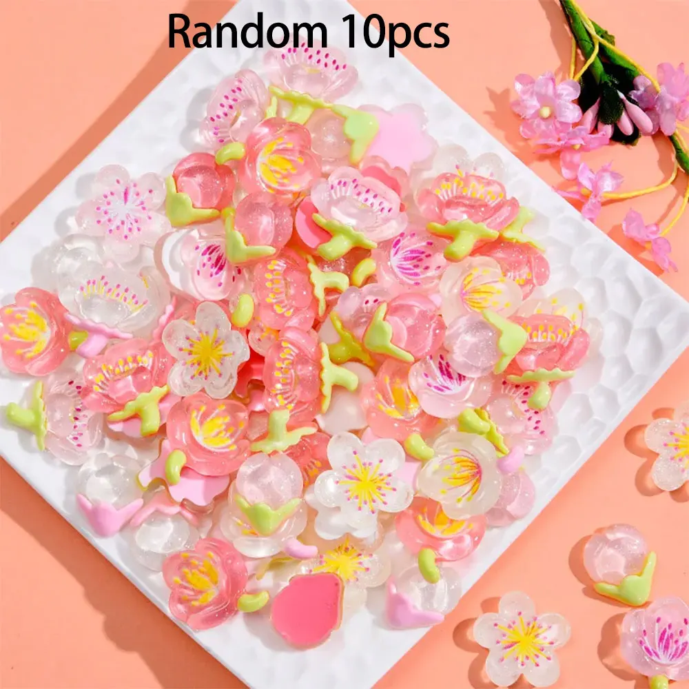 10pcs