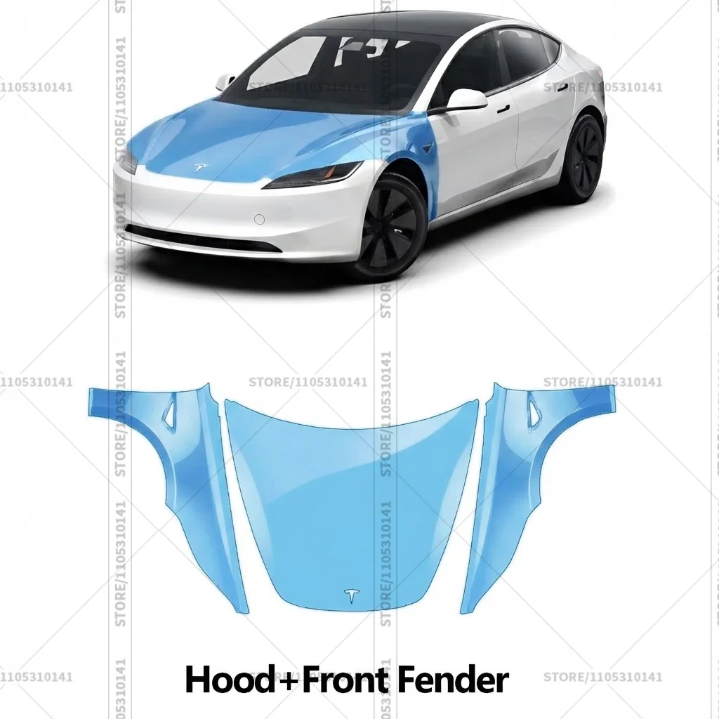Hood - Front Fender