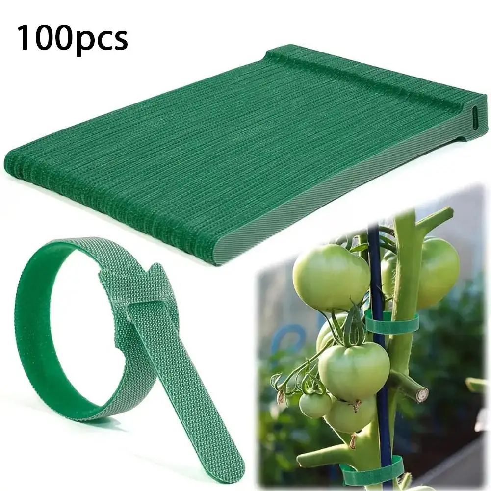 100pcs