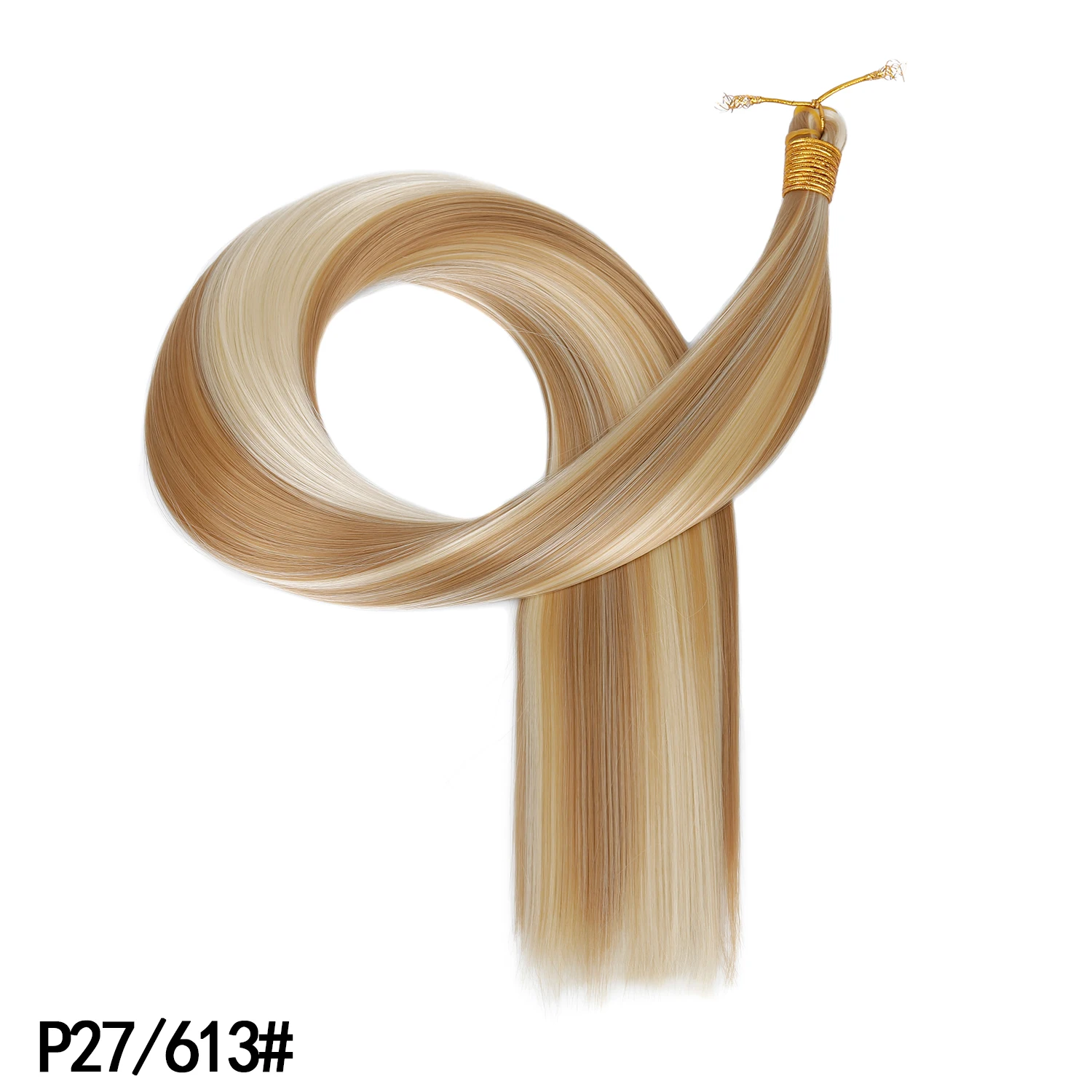 P27M613